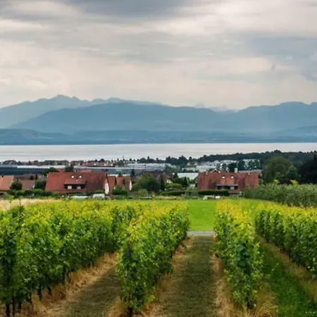 Вилла Domaine Des Chataigniers, Prive *